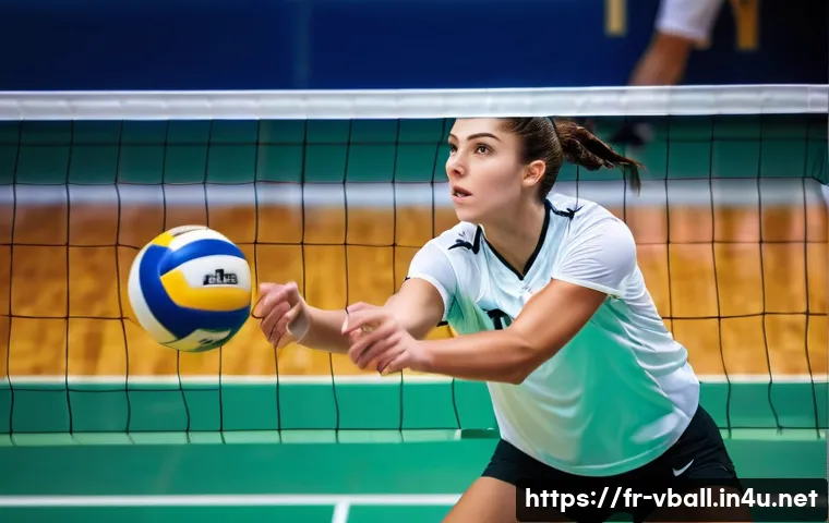 배구 실시간 중계 사이트 관련 이미지 1