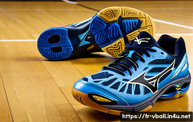 배구 용품 세일 정보 관련 이미지 1